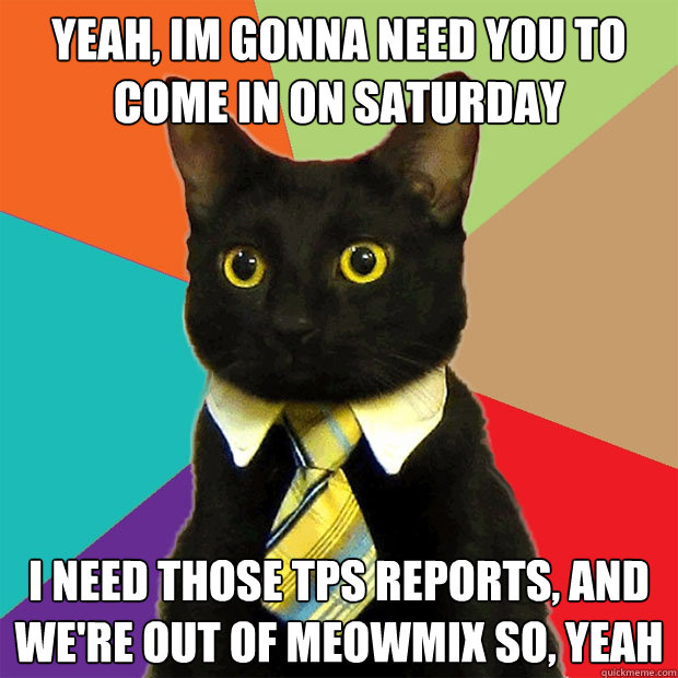 Yeah, im gonna need you to come in on saturday  i need those tps reports, and we're out of meowmix so, yeah  Business Cat