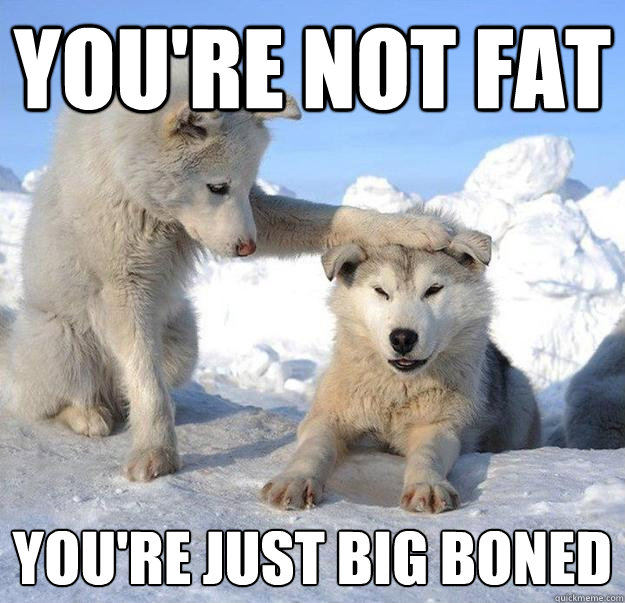 you're not fat
 you're just big boned  Caring Husky