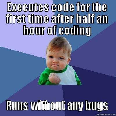 EXECUTES CODE FOR THE FIRST TIME AFTER HALF AN HOUR OF CODING RUNS WITHOUT ANY BUGS Success Kid