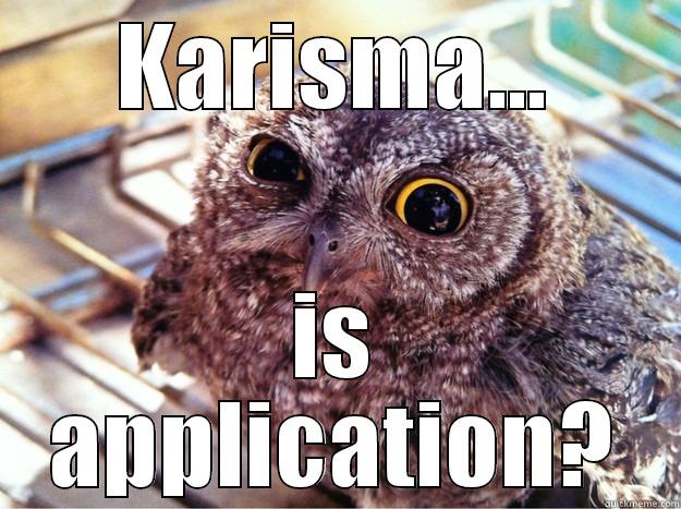 KARISMA... IS APPLICATION? Skeptical Owl