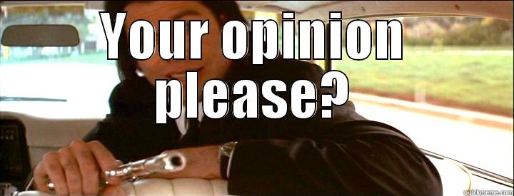 YOUR OPINION PLEASE?  Misc