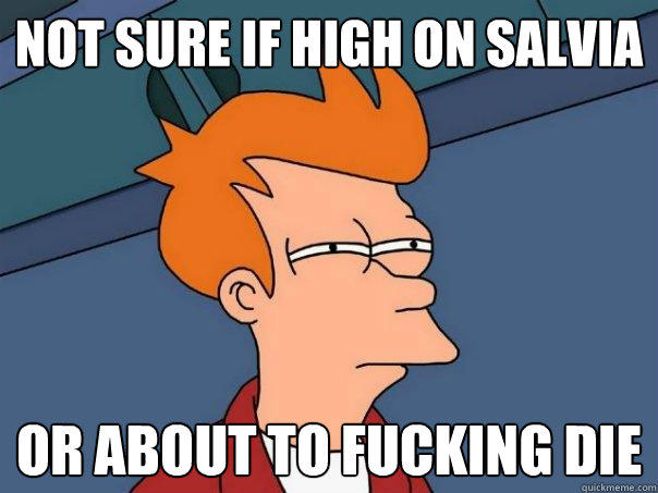 Not sure if high on salvia Or about to fucking die  