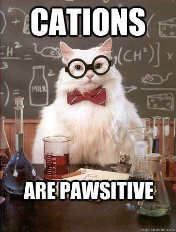 CATIONS ARE PAWSITIVE  Chemistry Cat