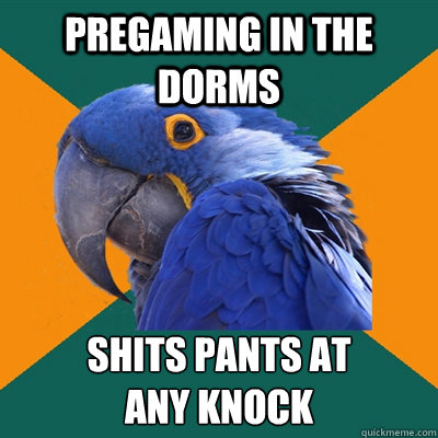 pregaming in the dorms shits pants at
any knock  Paranoid Parrot