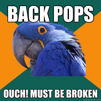 Back pops OUch! must be broken  Paranoid Parrot