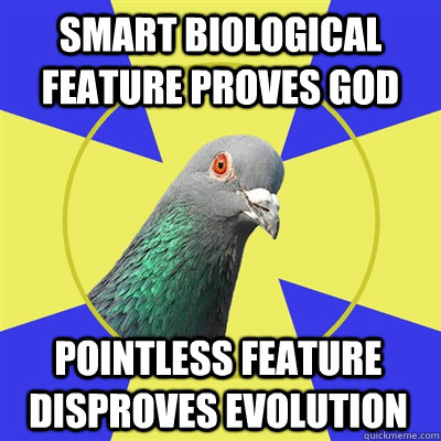 Smart biological feature proves god Pointless feature disproves evolution  Religion Pigeon