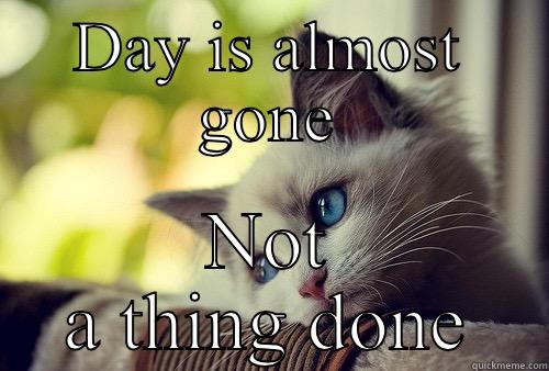 DAY IS ALMOST GONE NOT A THING DONE First World Problems Cat