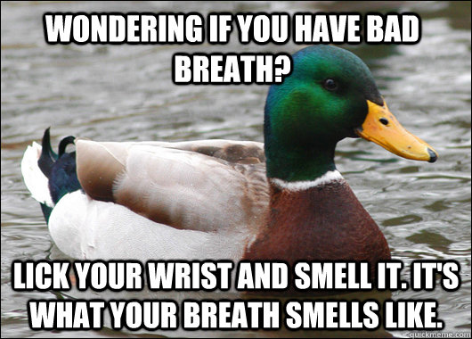 Wondering if you have bad breath? Lick your wrist and smell it. it's what your breath smells like.  Actual Advice Mallard