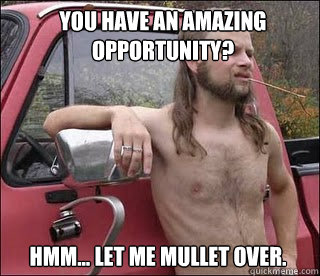 You have an amazing opportunity? Hmm... Let me Mullet over.   racist redneck
