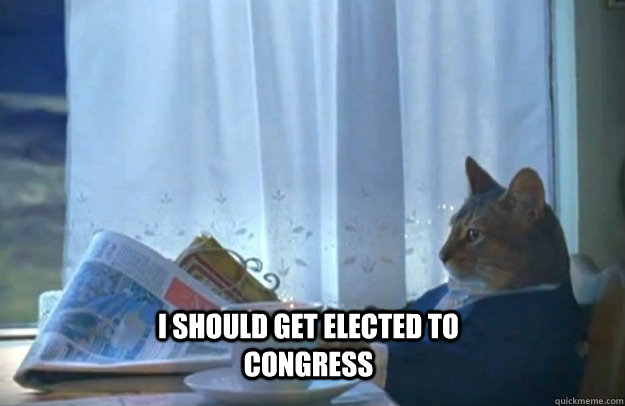 I should get elected to Congress  Sophisticated Cat
