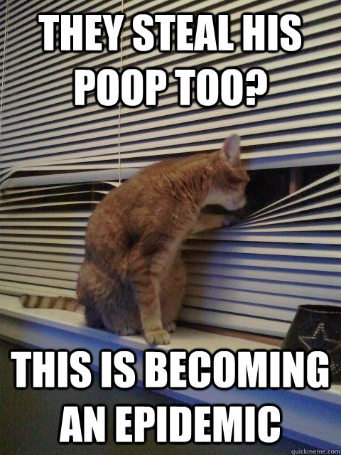 They steal his poop too? this is becoming an epidemic - They steal his poop too? this is becoming an epidemic  Peeping Tomcat