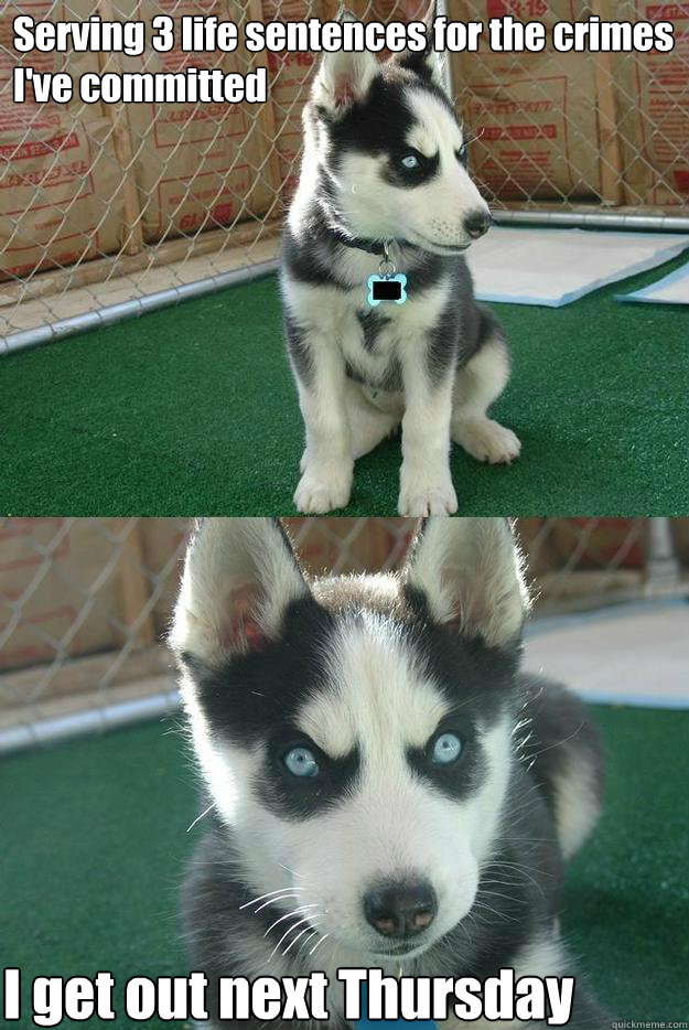 Serving 3 life sentences for the crimes I've committed I get out next Thursday  Insanity puppy