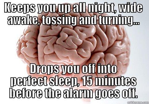 KEEPS YOU UP ALL NIGHT, WIDE AWAKE, TOSSING AND TURNING... DROPS YOU OFF INTO PERFECT SLEEP, 15 MINUTES BEFORE THE ALARM GOES OFF. Scumbag Brain