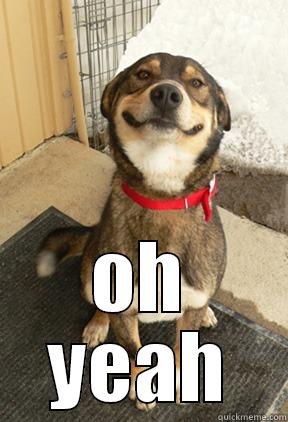  OH YEAH Good Dog Greg