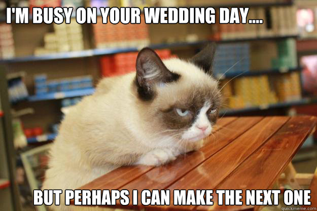 I'm busy on your wedding day.... but perhaps i can make the next one - I'm busy on your wedding day.... but perhaps i can make the next one  Grumpy Cat Lunch