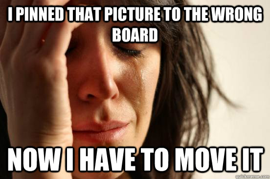I pinned that picture to the wrong board now i have to move it  First World Problems