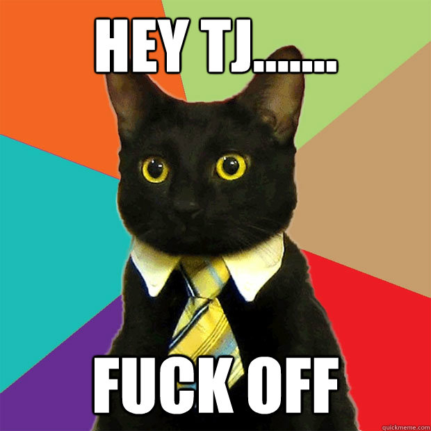 HEY TJ....... FUCK OFF  Business Cat