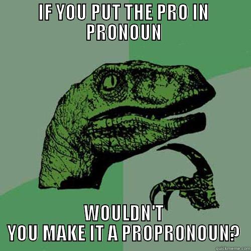 IF YOU PUT THE PRO IN PRONOUN WOULDN'T YOU MAKE IT A PROPRONOUN? Philosoraptor