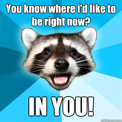 You know where i'd like to be right now? IN YOU!  Lame Pun Coon