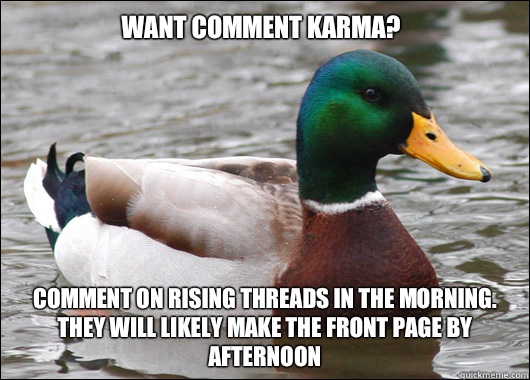 Want comment karma? Comment on rising threads in the morning. They will likely make the front page by afternoon  Actual Advice Mallard
