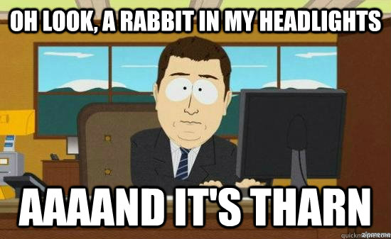 Oh look, a rabbit in my headlights AAAAND it's tharn  aaaand its gone