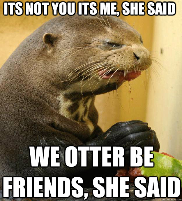 its not you its me, she said we otter be friends, she said  ornery otter