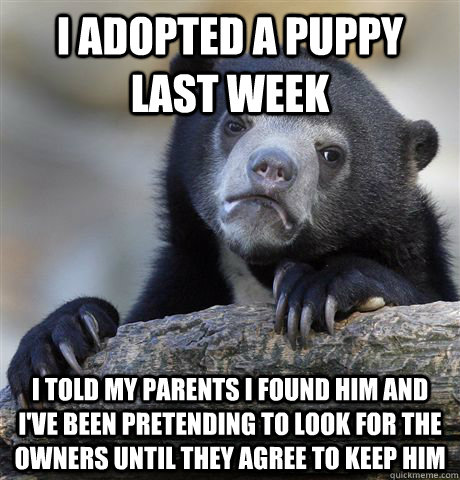 I adopted a puppy last week I told my parents I found him and i've been pretending to look for the owners until they agree to keep him  Confession Bear