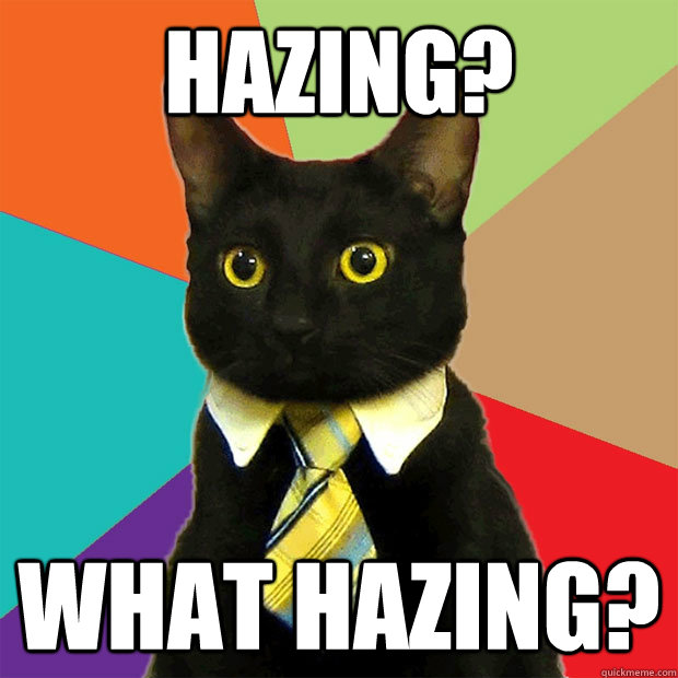 Hazing? What Hazing?   Business Cat