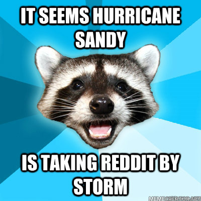 It seems Hurricane Sandy Is taking Reddit by storm  - It seems Hurricane Sandy Is taking Reddit by storm   Lame Pun Raccoon