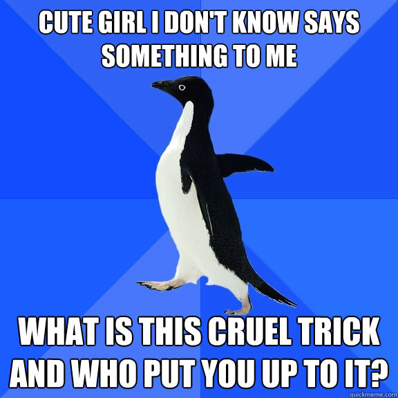 Cute girl i don't know says something to me what is this cruel trick and who put you up to it?  Socially Awkward Penguin