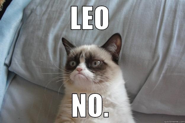 LEO NO. Grumpy Cat