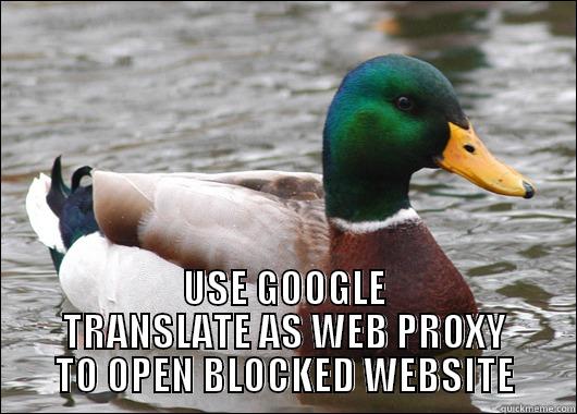  USE GOOGLE TRANSLATE AS WEB PROXY TO OPEN BLOCKED WEBSITE Actual Advice Mallard