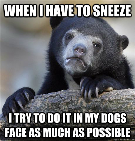 When I have to sneeze i try to do it in my dogs face as much as possible - When I have to sneeze i try to do it in my dogs face as much as possible  confessionbear
