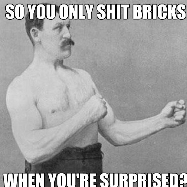 so you only shit bricks when you're surprised? - so you only shit bricks when you're surprised?  Misc