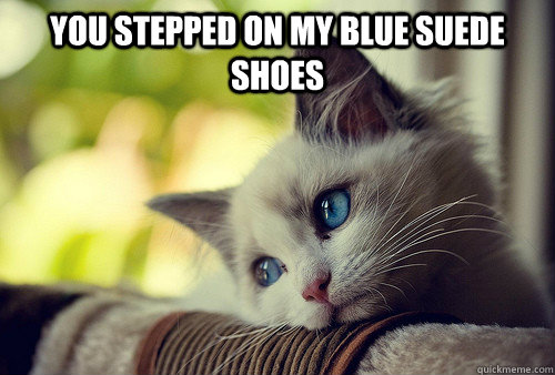 You stepped on my blue suede shoes   First World Problems Cat