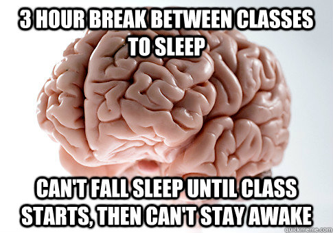 3 hour break between classes to sleep can't fall sleep until class starts, then can't stay awake  Scumbag Brain
