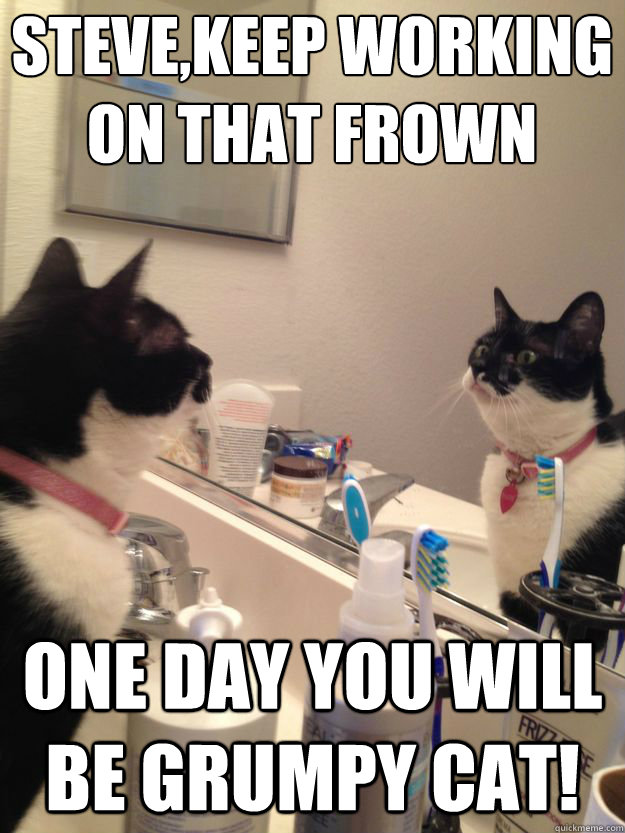 Steve,keep working on that frown One day you will be grumpy cat! - Steve,keep working on that frown One day you will be grumpy cat!  Self Help Cat