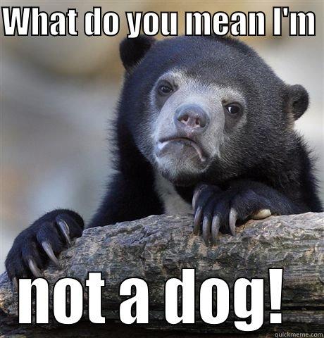 WHAT DO YOU MEAN I'M  NOT A DOG!  Confession Bear