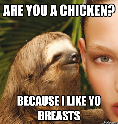 are you a chicken? because i like yo breasts  rape sloth