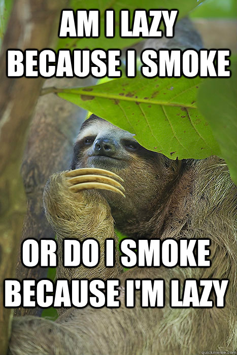 Am I lazy because I smoke or do I smoke because i'm lazy  Philososloth