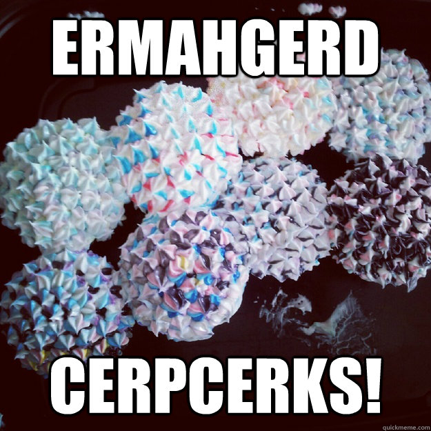 ERMAHGERD CERPCERKS! - ERMAHGERD CERPCERKS!  How About Cupcakes