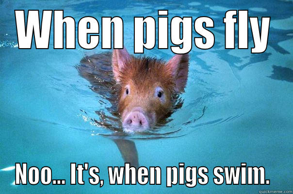 WHEN PIGS FLY NOO... IT'S, WHEN PIGS SWIM.  Misc