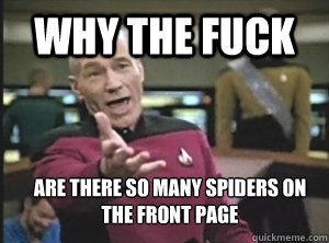 Why the fuck are there so many spiders on the front page  Annoyed Picard