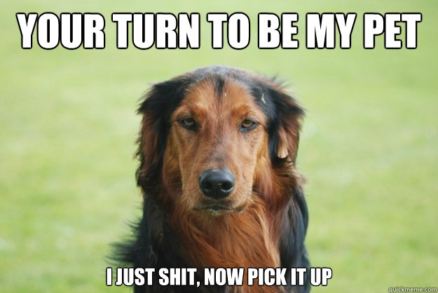 Your turn to be my pet i just shit, now pick it up  Careless Canine