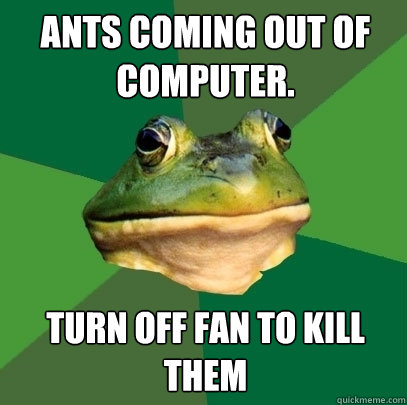 ants coming out of computer. turn off fan to kill them  Foul Bachelor Frog