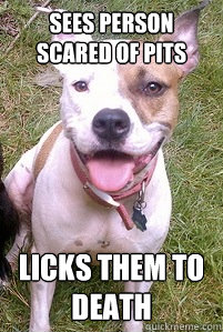 Sees person scared of pits Licks them to death  