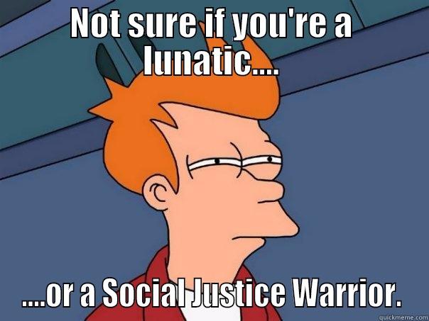 NOT SURE IF YOU'RE A LUNATIC.... ....OR A SOCIAL JUSTICE WARRIOR. Futurama Fry