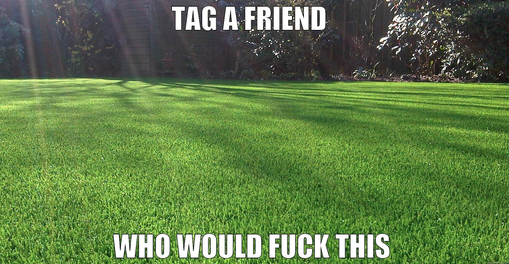 TAG A FRIEND  WHO WOULD FUCK THIS Misc