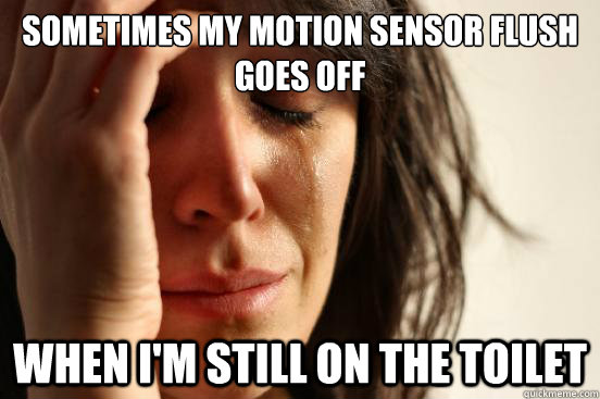 Sometimes my motion sensor flush goes off When I'm still on the toilet  First World Problems