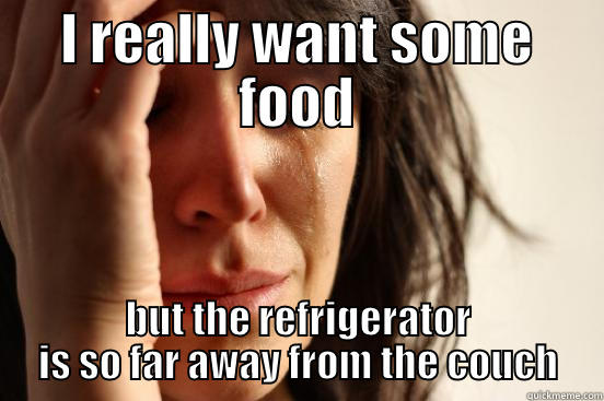 I REALLY WANT SOME FOOD BUT THE REFRIGERATOR IS SO FAR AWAY FROM THE COUCH First World Problems